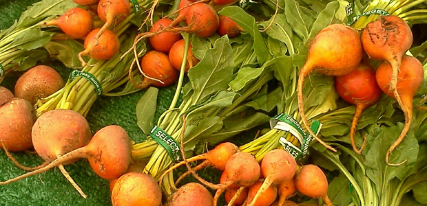 poompanbeets crop