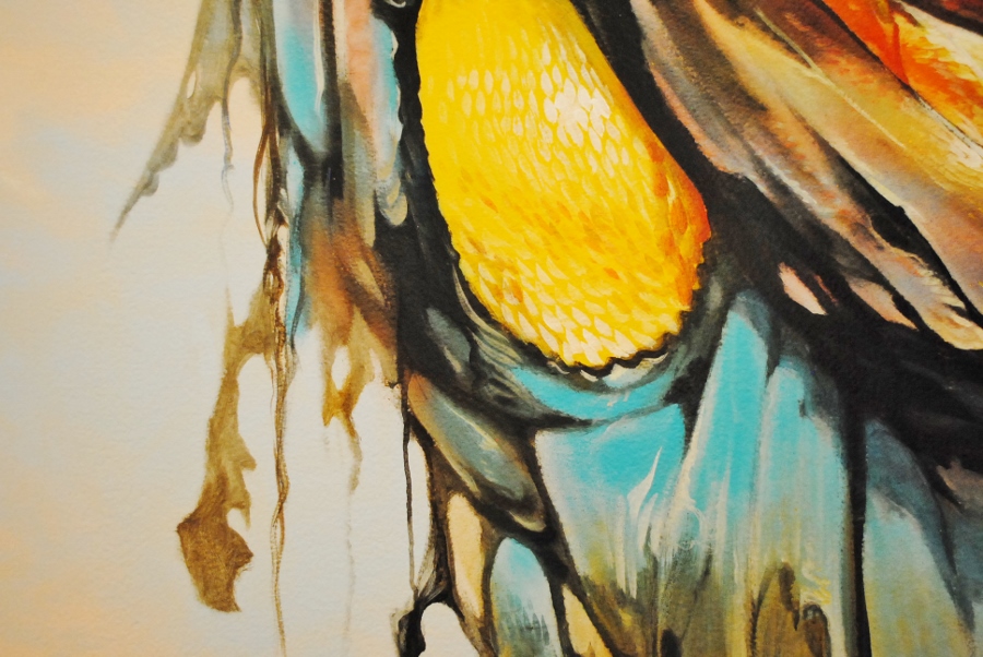 DSC 0012 900x602
