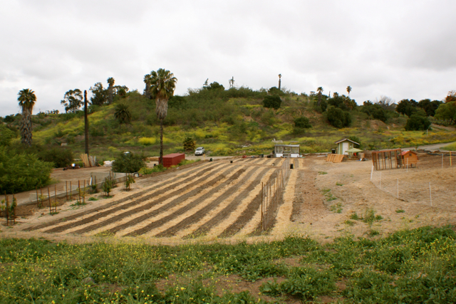 farm02