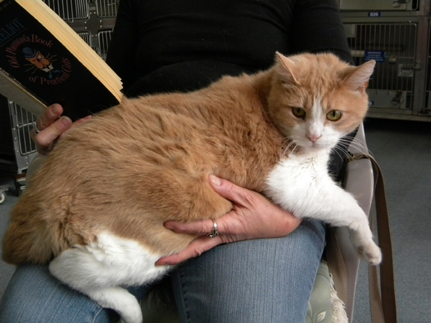 ChubbyCharlie