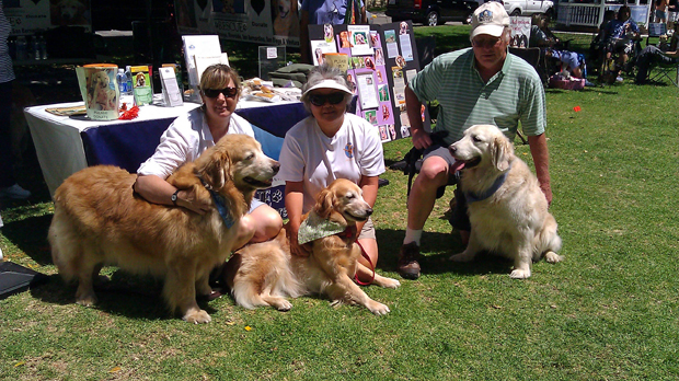Golden Retriever REscue
