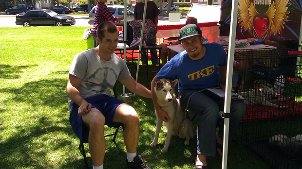 Husky adoption