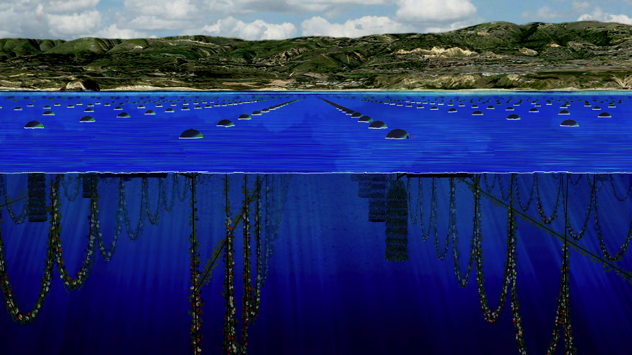 openwatershellfishfarm