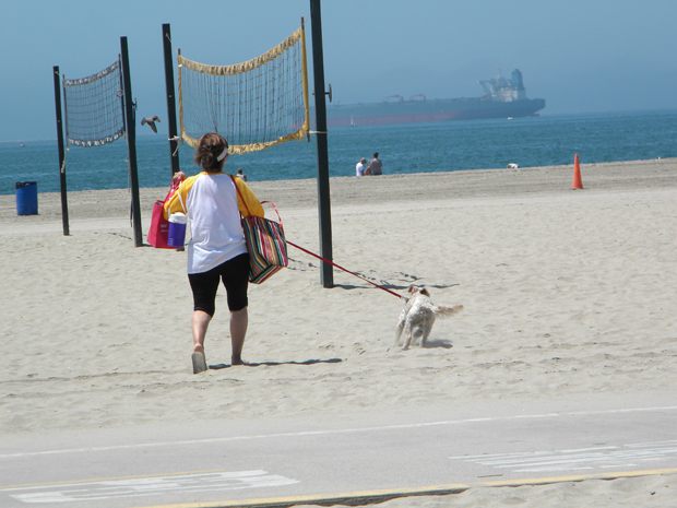 Leash