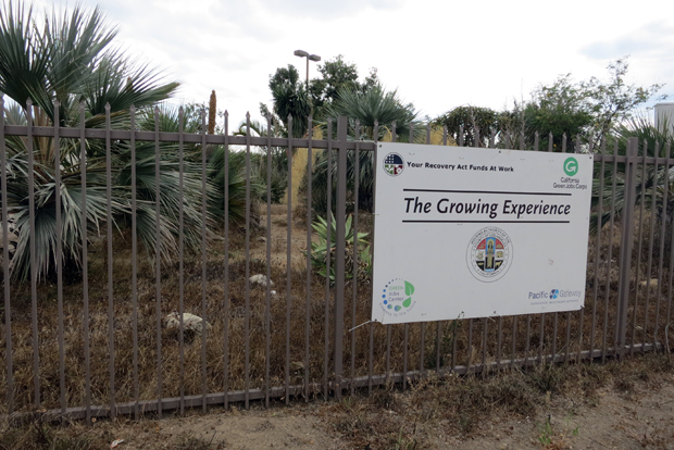growingexperience
