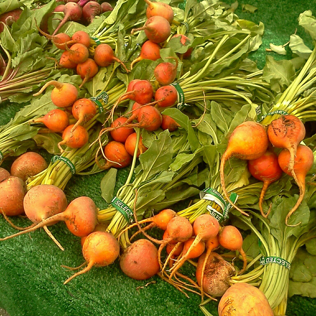 poompanbeets