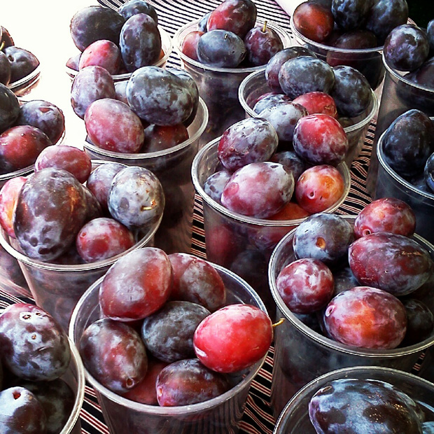 poompangrapes
