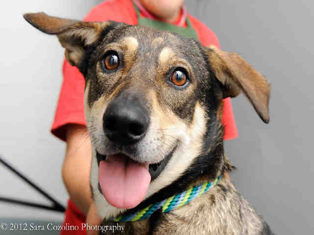 Fred Astaire SEpt. 12 Pet of the WEek
