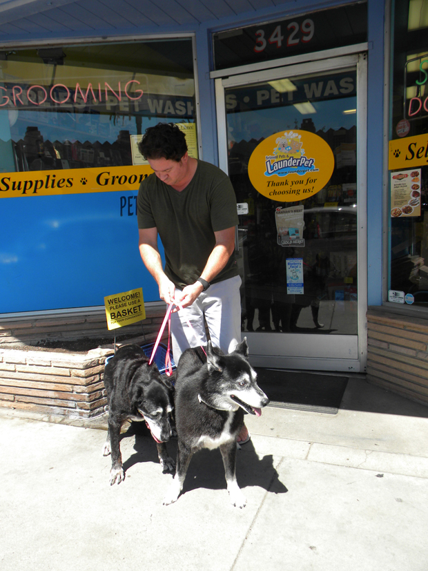 Reg Lapham with Molly lab mix and Luna Husky