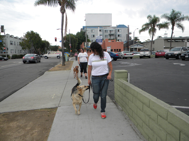 Walking