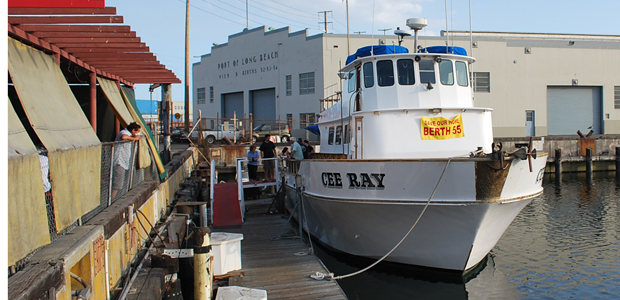 berth55ceeray