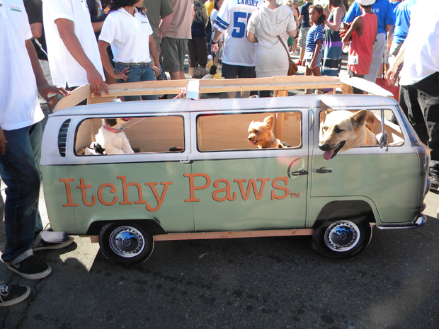 Itchy Paws van