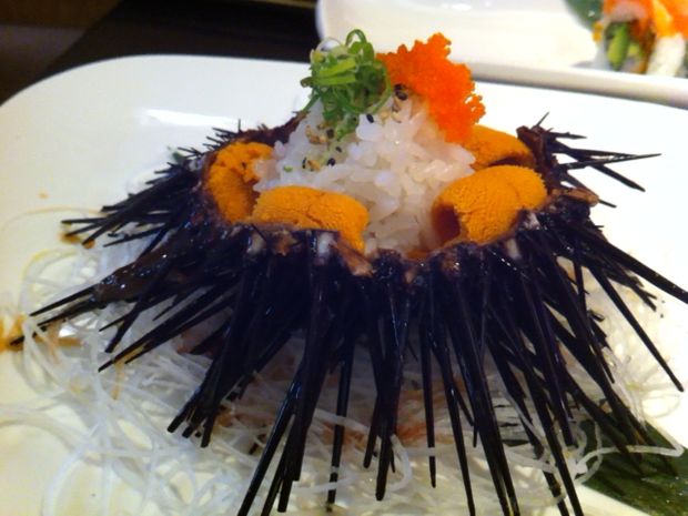 SushiKinoya liveuni