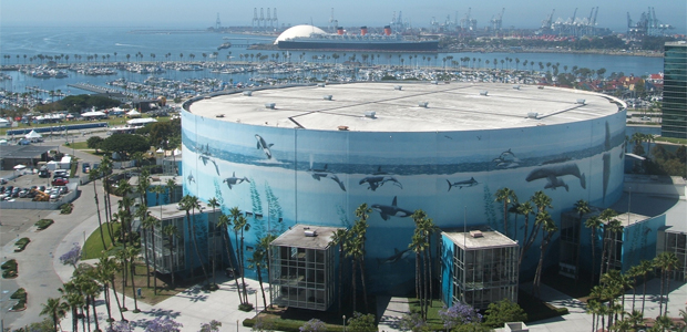 arena
