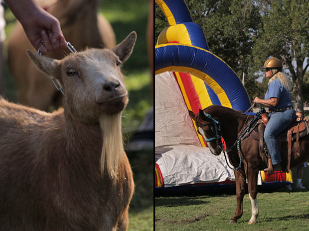 goat and Karen