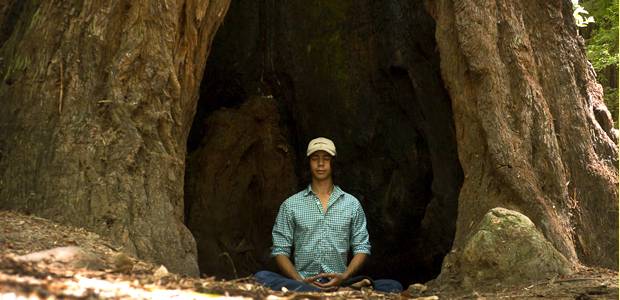 seekingheartwood3