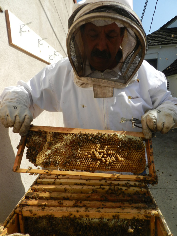 beekeepers3