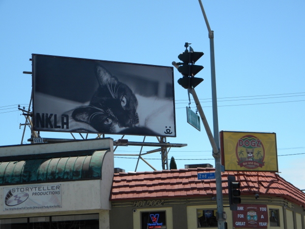 billboard 620x465