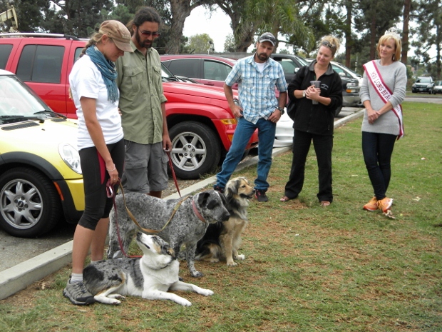 kym at dog walk 620x465 620x465