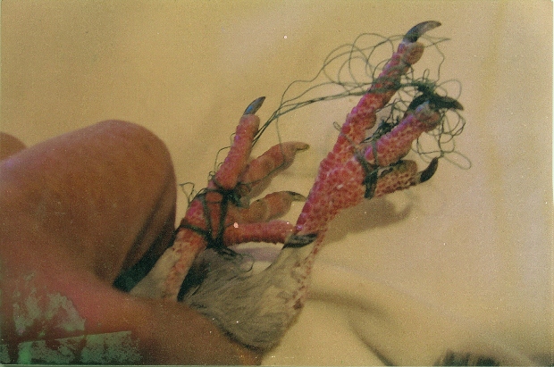 tied feet 620x411