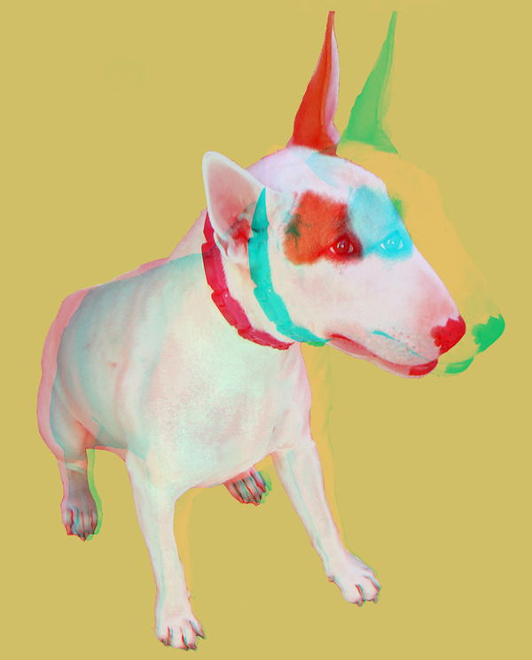 3ddog