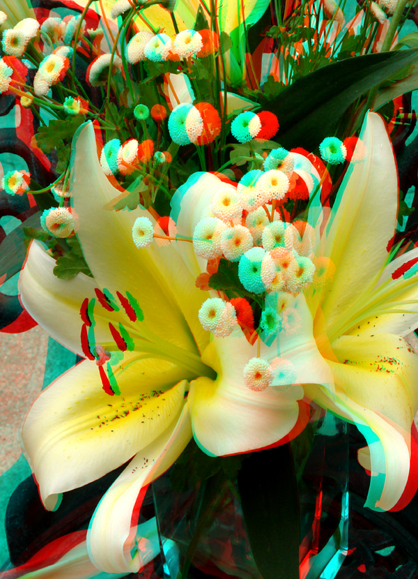3dflowers