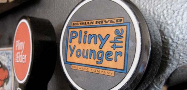plinytheyounger