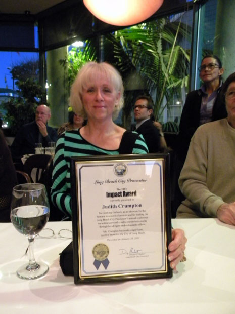 judy and award 465x620