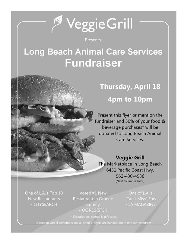lb animal care services