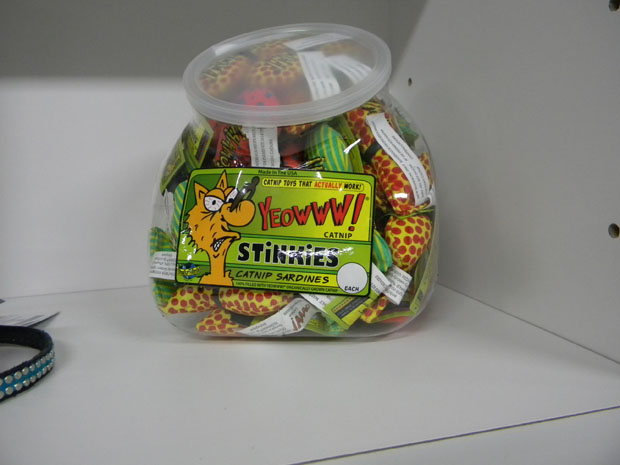 sardine stinkies