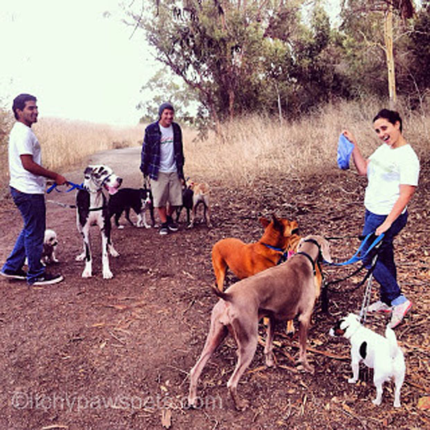 greatsocializationphotoitchypawspart2