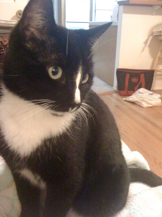 sammy