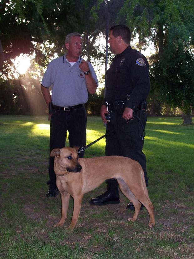 K9 011