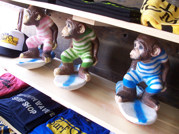 Seventh Wave Surf Shop 020