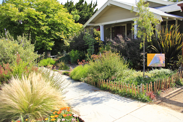 longbeach lawntogarden 2013-8