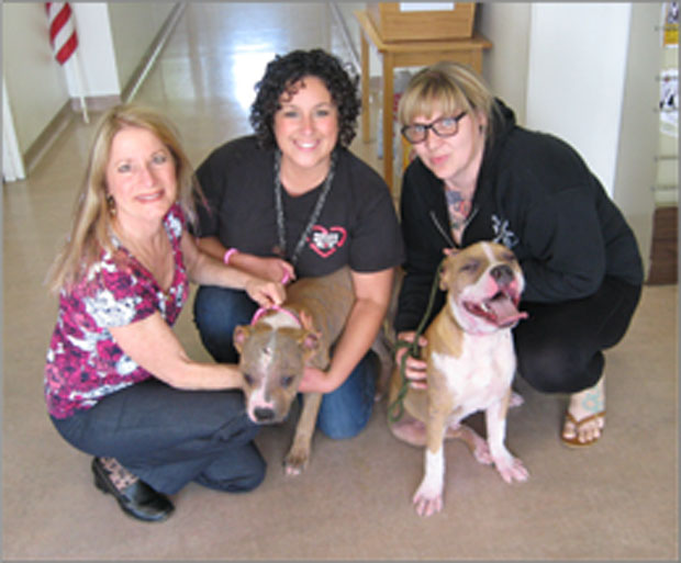lucky dogs at raffles rescue