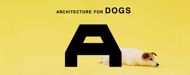 architecture for dogs