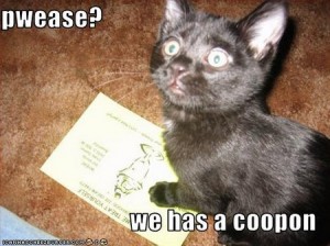 cat-haz-coupon-300x224