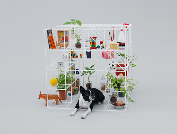 sou-fujimoto boston terrier