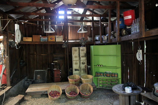 veselyfarms2