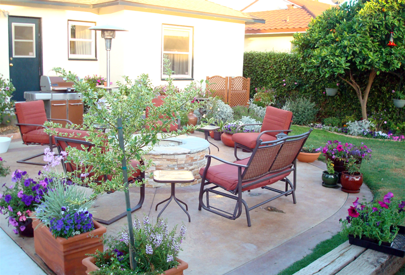 backyard sanc