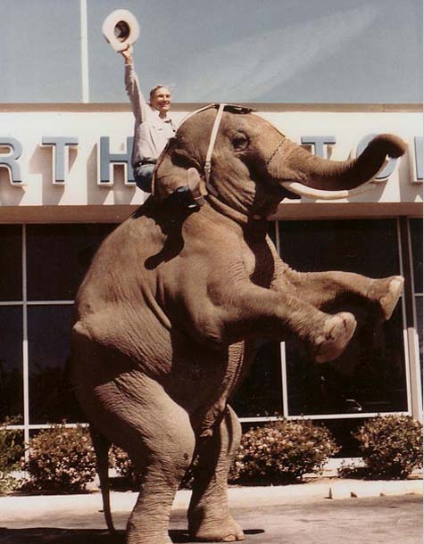 cal worthington