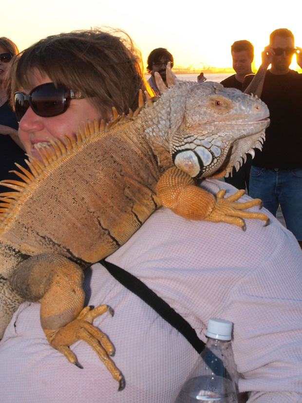 Big lizard