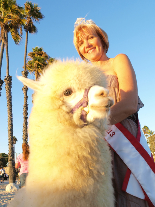 Kym and alpaca Cotton