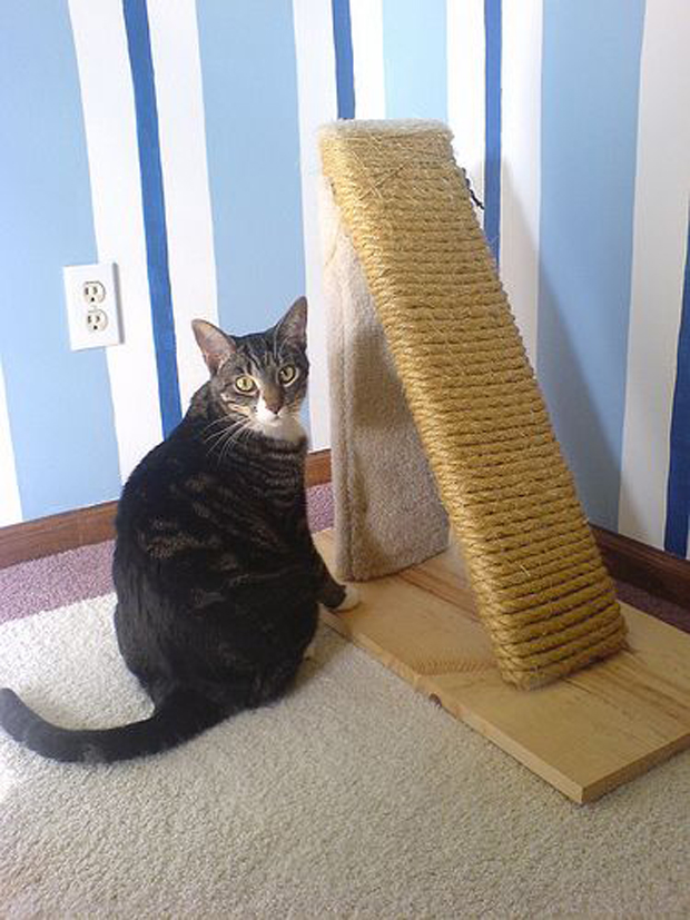 Scratching Post shared by see mail