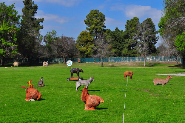 Animal targets