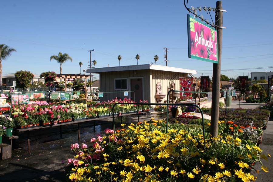 armstronglongbeach