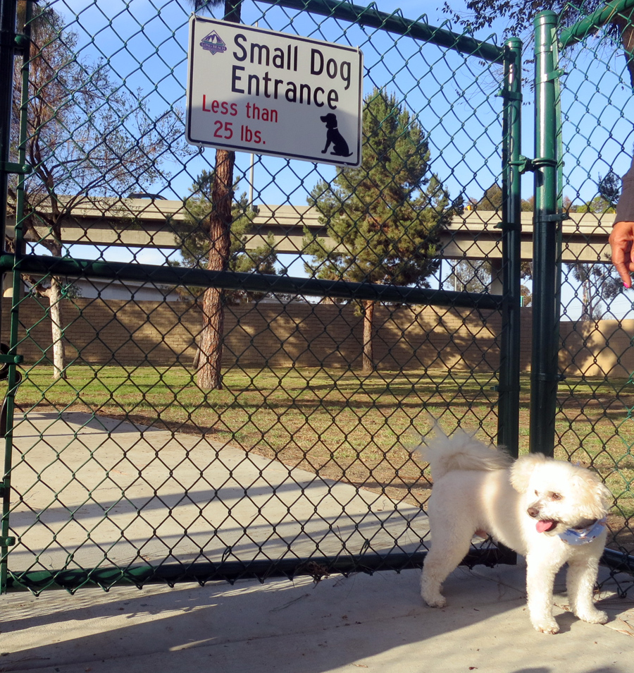 coolidgedogpark2