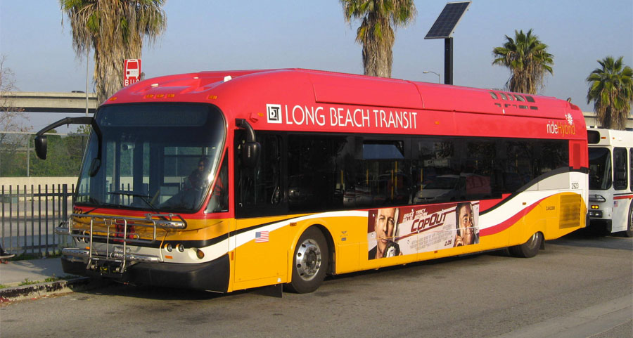 LBTbus