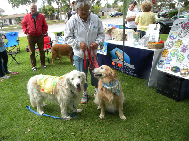 REtriever